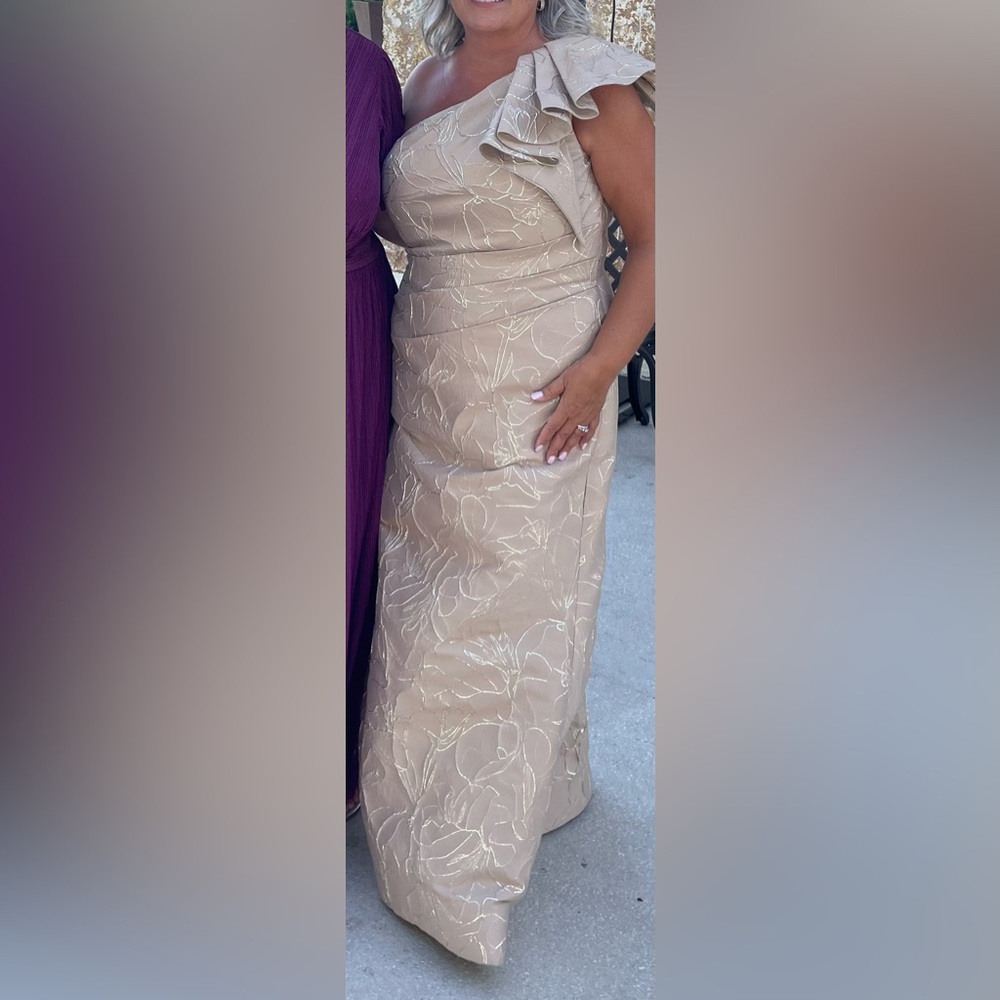 Gia Franco Champagne Evening Gown Size 16 - Mother Of The Groom